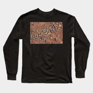 Remnants of a harvest past Long Sleeve T-Shirt